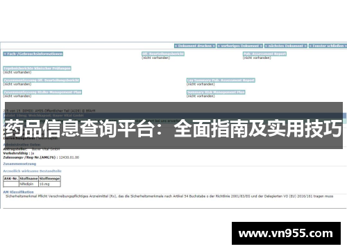 药品信息查询平台：全面指南及实用技巧